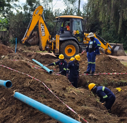Water Network Audits